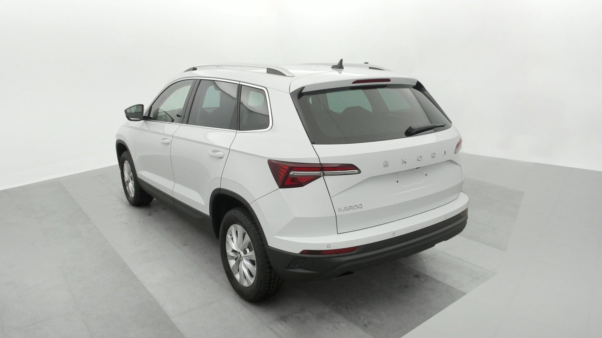 SKODA KAROQ 2.0 TDI 116 ch SCR Selection