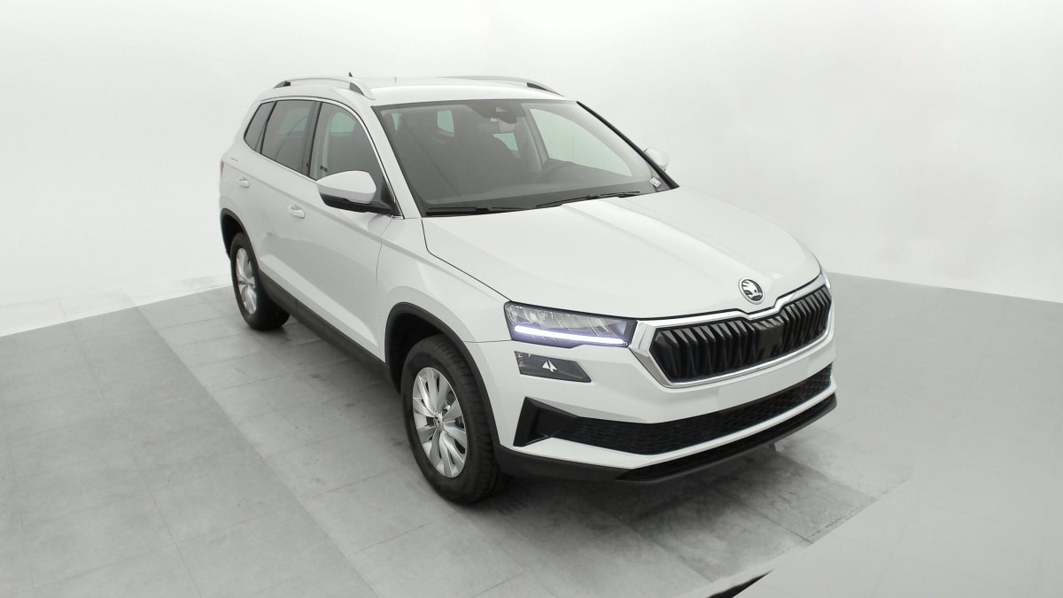 SKODA KAROQ 2.0 TDI 116 ch SCR Selection