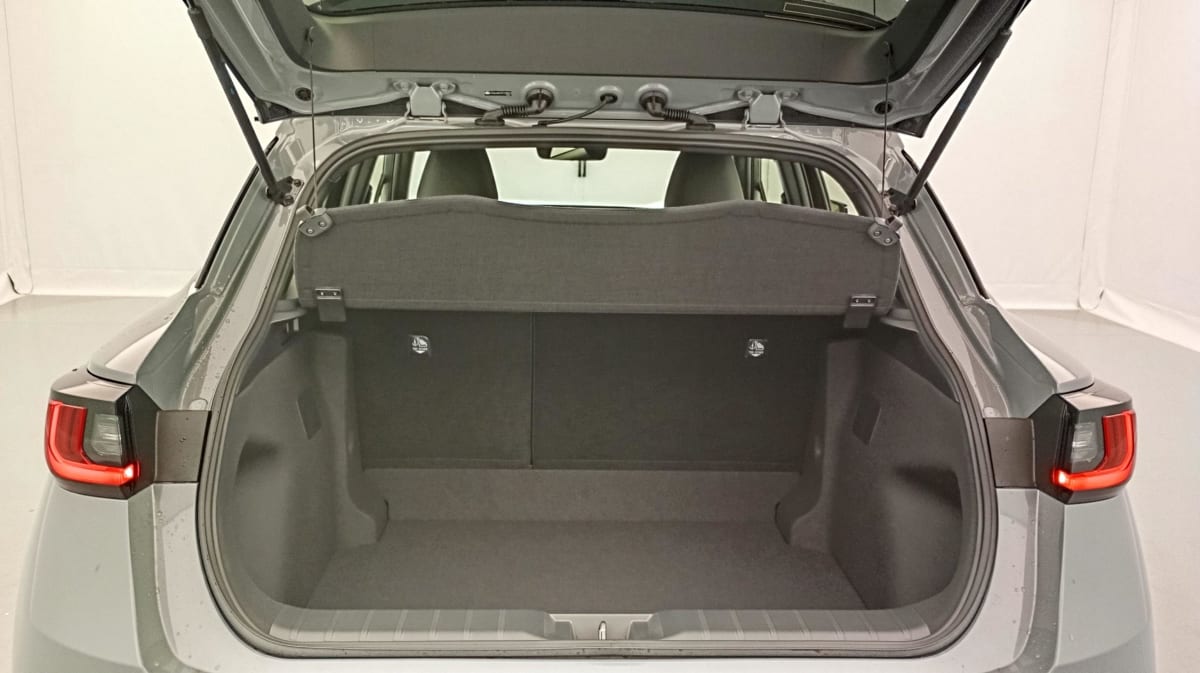 LEXUS LBX 2WD Business